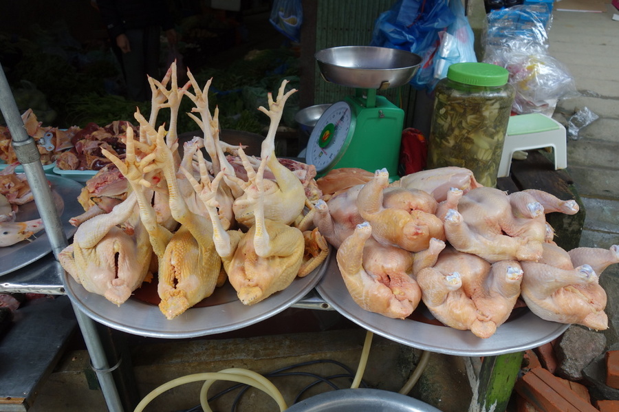 DSC04139.thumb.JPG.8391b0f0cc082c6b5aec2c315460d046.JPG