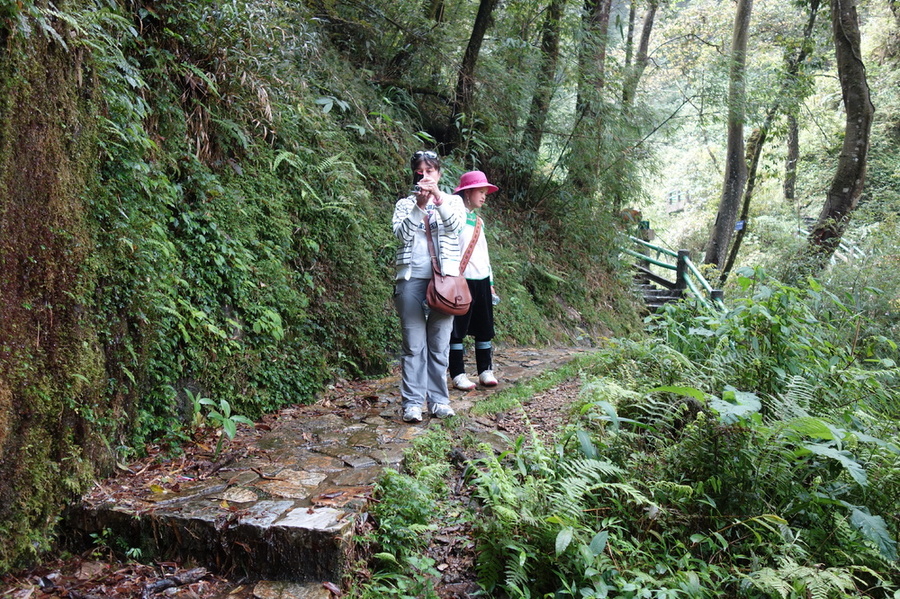 DSC04179.JPG
