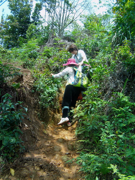 IMAG0222.JPG