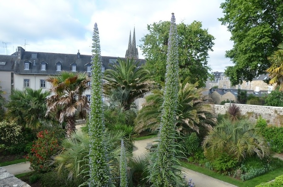 Jardin Quimper_5.jpg