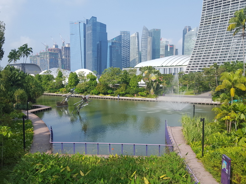 Singapore2015 (940).jpg