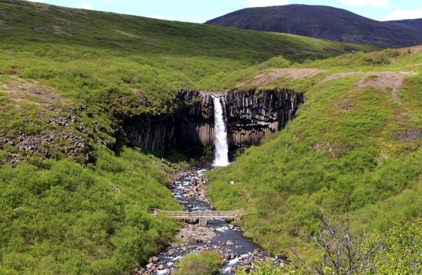 svartifoss_visir.jpg.b0a50a5987b66583ec6bc2aab5dc60ef.jpg