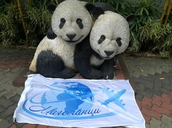 KL zoo pandas statues