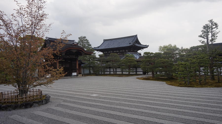 DSC04197.JPG.9ab551f729bce82716e45764cbf71d91.JPG