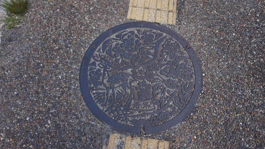 DSC04302.JPG.a355a13e20dd3bbc4b622b5bac367575.JPG