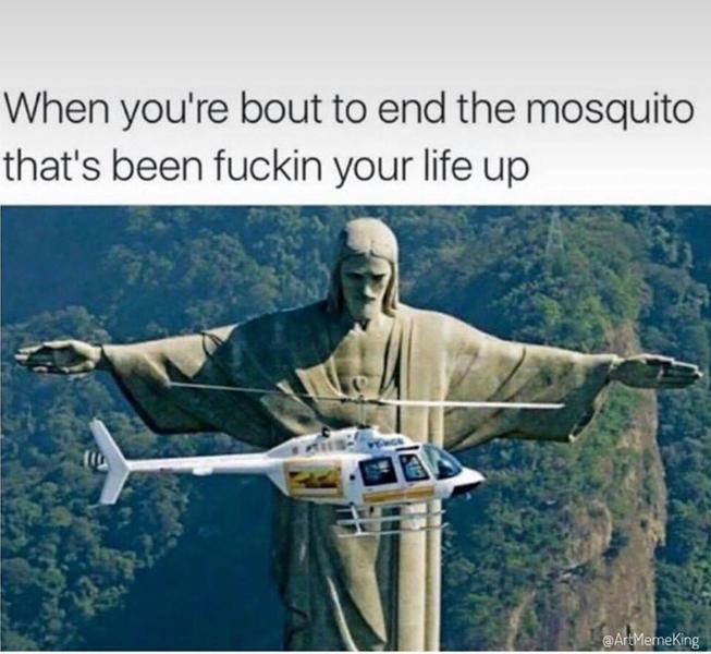 mosquitojesus.jpg.c52ac34403262c50c683612410156aa8.jpg