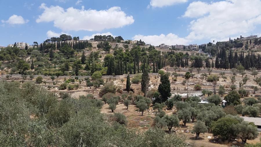 Йерусалим- Елеонския хълм и Гетсиманската градина