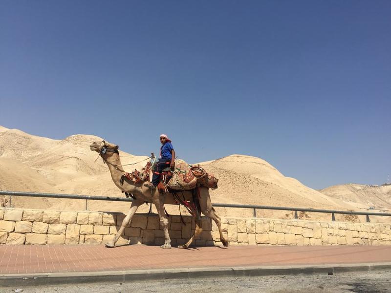 По пътя от Йерусалим към Мъртво море, камила и камилар, на 0 м надморска височина