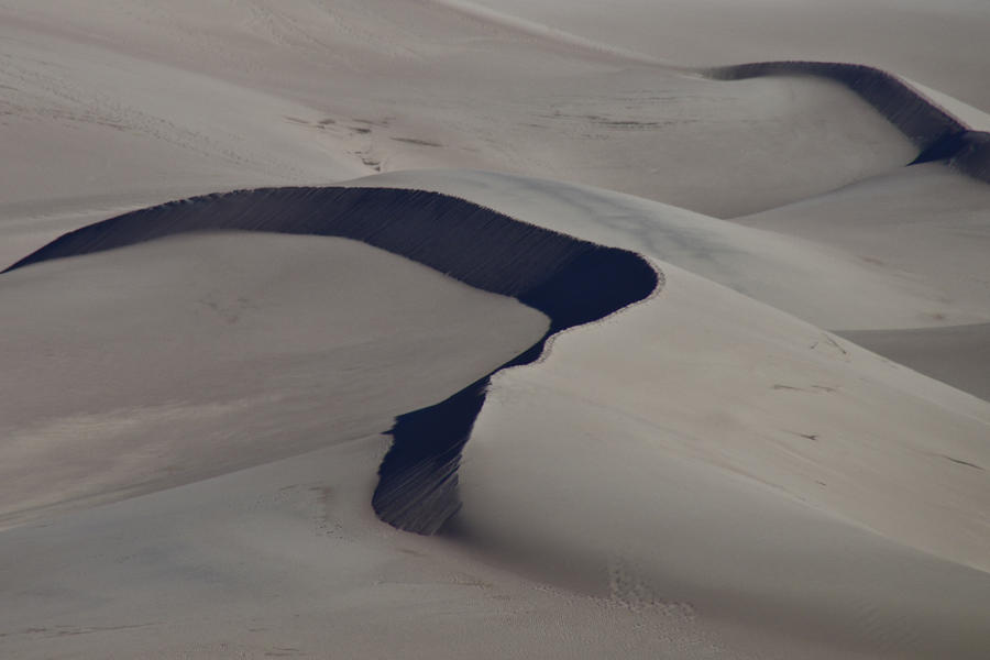 1151539352_IMGP4213_GreatSandDunes.jpg.f45ef31a8ea3350140e0c88c3933942e.jpg