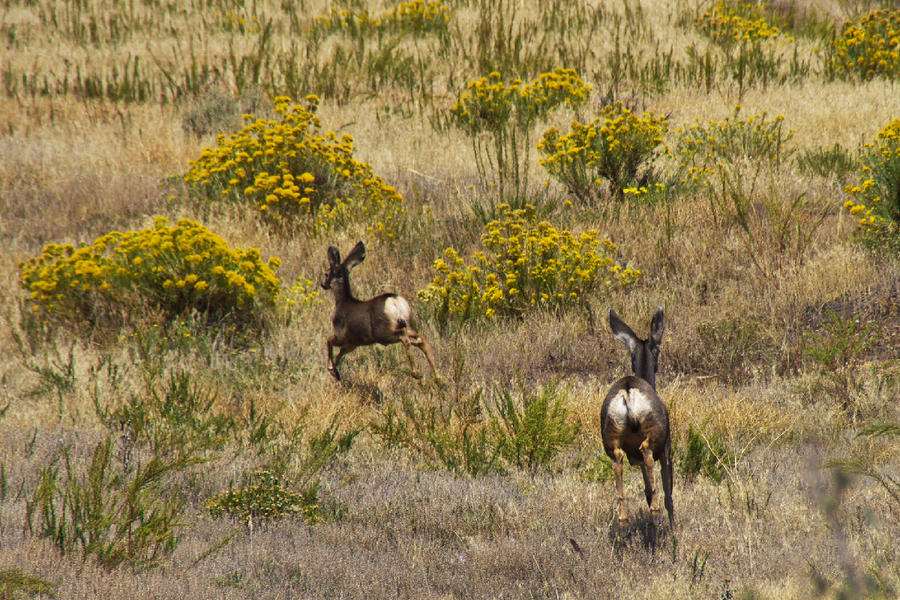 1348009766_IMGP3898_SanLuisValley.jpg.66286eb80468f03f1896531fe0f23018.jpg