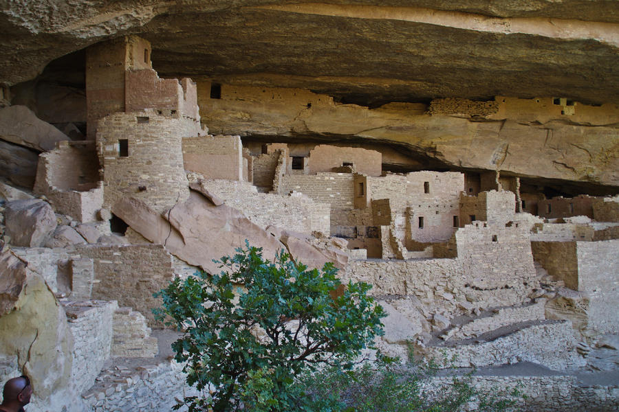 373488648_IMGP4696_MesaVerde_CliffPalace.jpg.8d38845d9887cdf7652862da012dd9b0.jpg