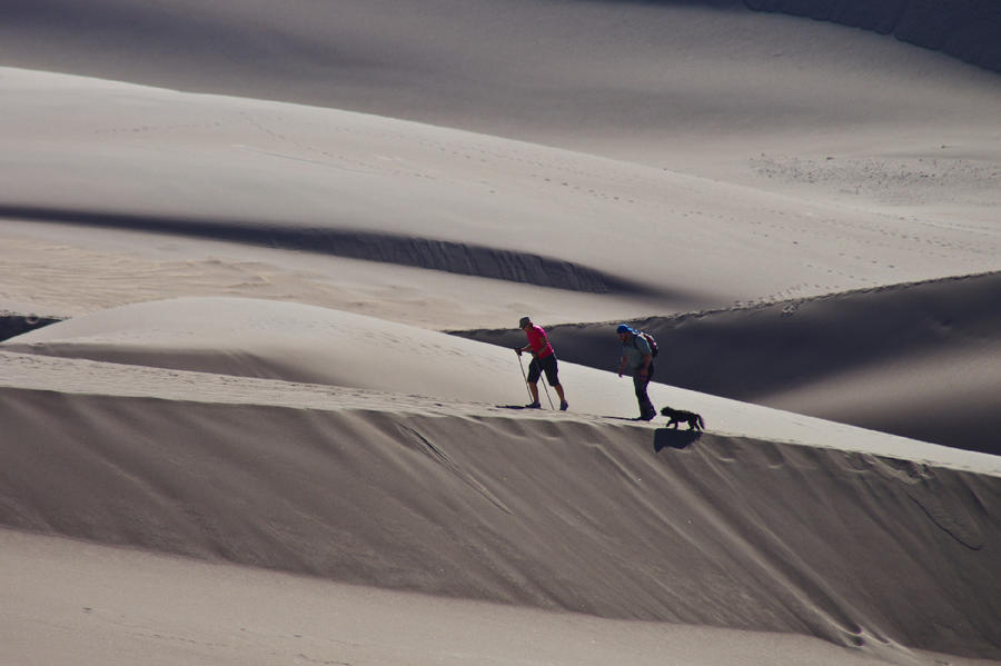 638463301_IMGP4306_GreatSandDunes.jpg.d1452c99c0acd73919567b303be1bb7c.jpg