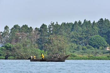 Рибари в езерото Виктория, Уганда.