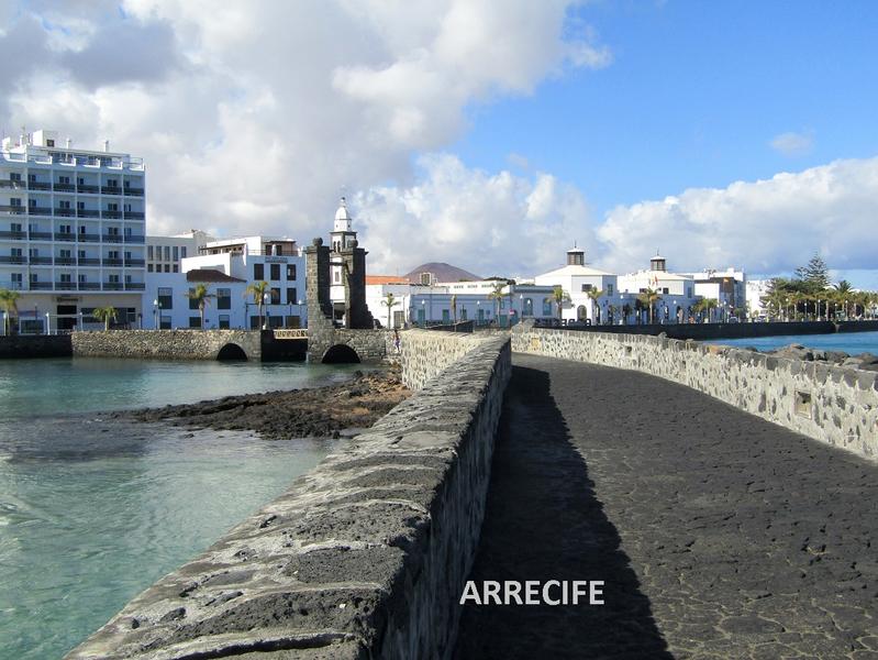 312931081_036-Arrecife(33).JPG.d460f1032f61fcb4bf685a999d96d5a4.JPG