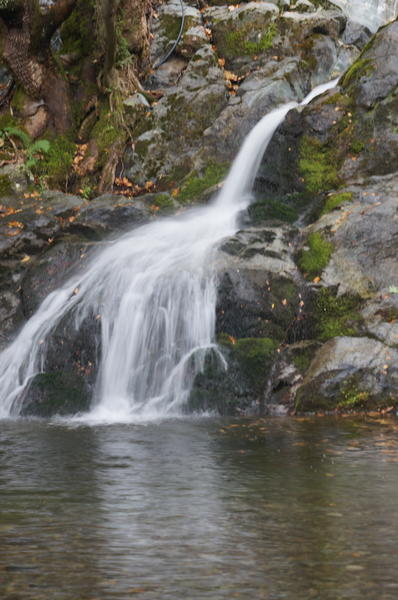 DSC04662.JPG.f4929578d8433cdc35f5356faad3502c.JPG