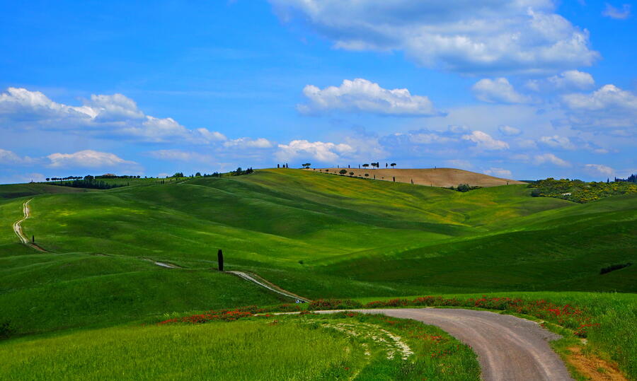 Tuscany.jpg.97d225c074c26e9b1874e07f2b182fad.jpg