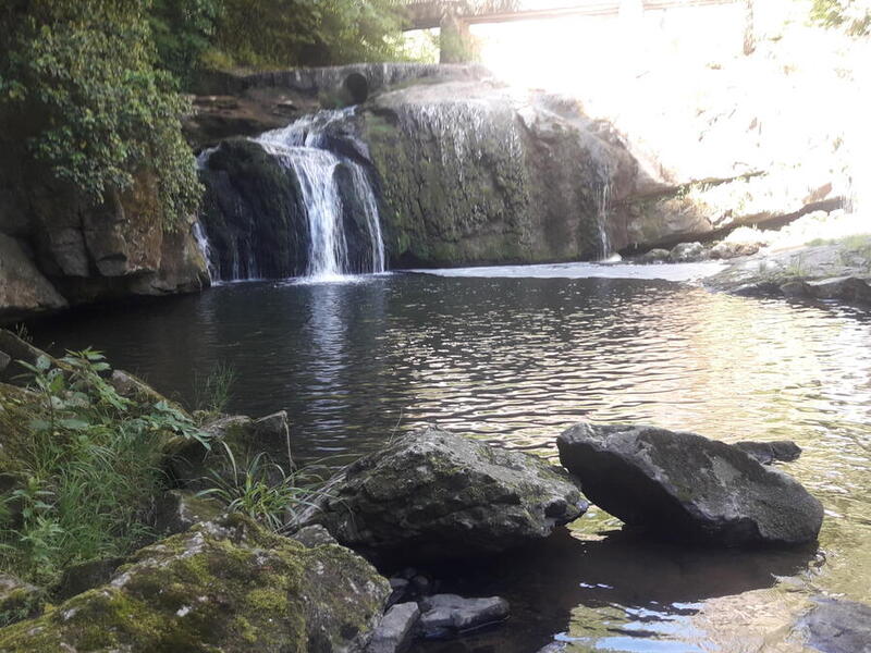 20200524_104947.jpg