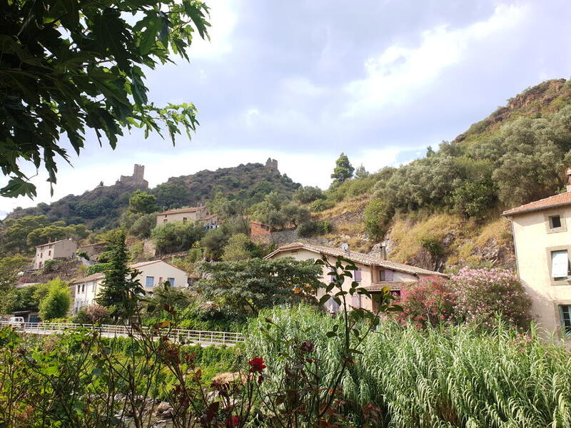 20200801_175107.jpg