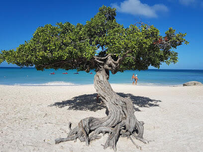 Aruba + Curaçao