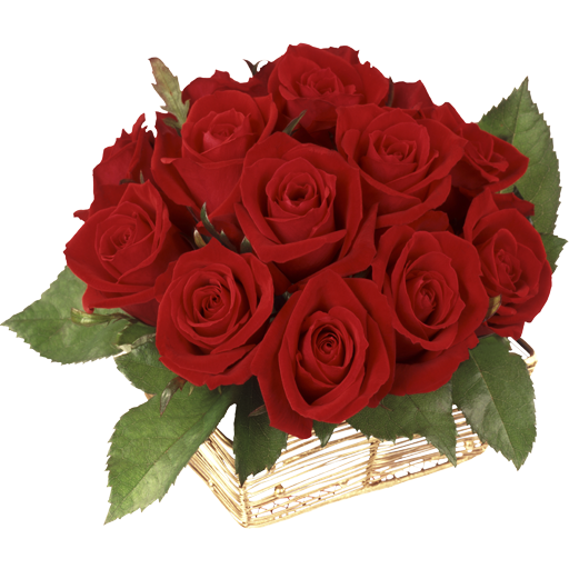 image.png.992db64c304ceb4ddd4c9992feeb0370.png