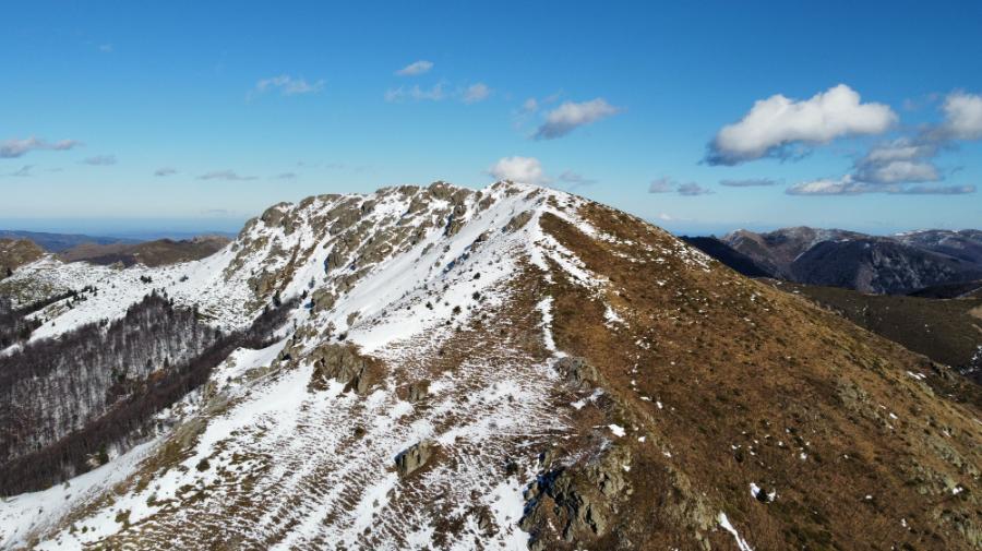 Photo_6553944_DJI_344_jpg_4195505_0_20211113142_photo_original.jpg.d57d50cbf07aa9f7366e21609596b45f.jpg
