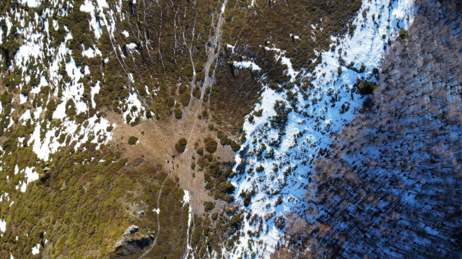 Photo_6553952_DJI_352_jpg_4185512_0_20211113188_photo_original.jpg.3fd909e00b9e30a46b7b5d38174089c9.jpg
