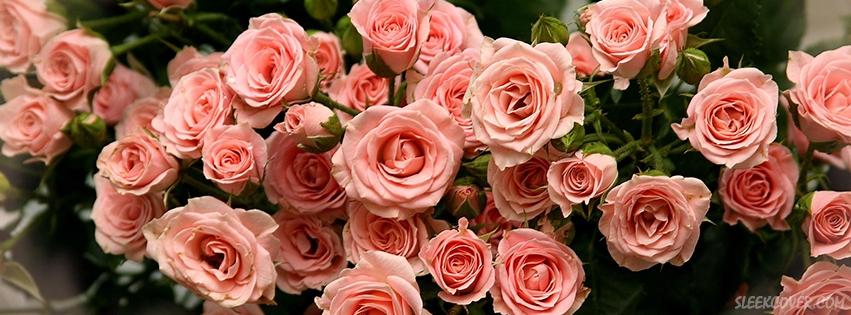 beautiful-flowers-facebook-cover.jpg.a4ffeb0ee95e4c0e66b29a1ed1a32596.jpg