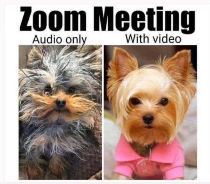 1876663806_Zoommeeting.jpg.4dab2f9d63d07014a9647d40325fb716.jpg
