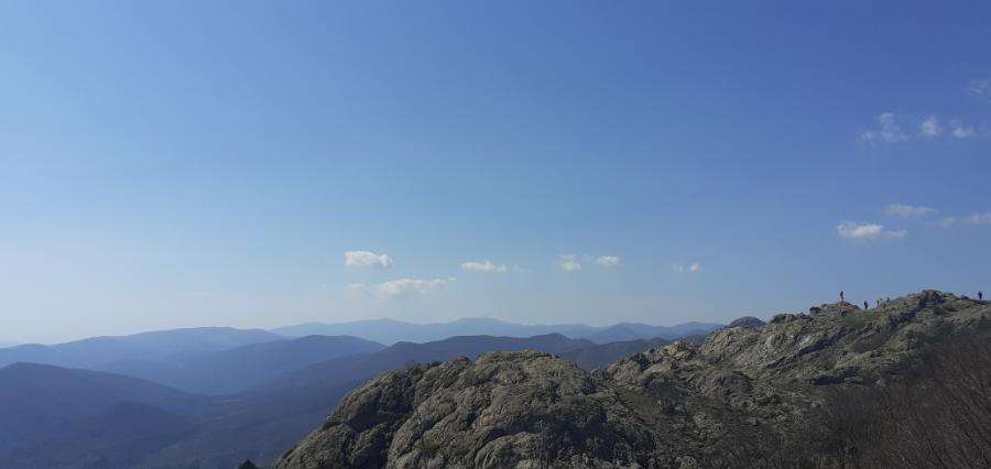 20210411_150839.jpg.bec4d9c7e8f425bb96d0e305df6615d7.jpg
