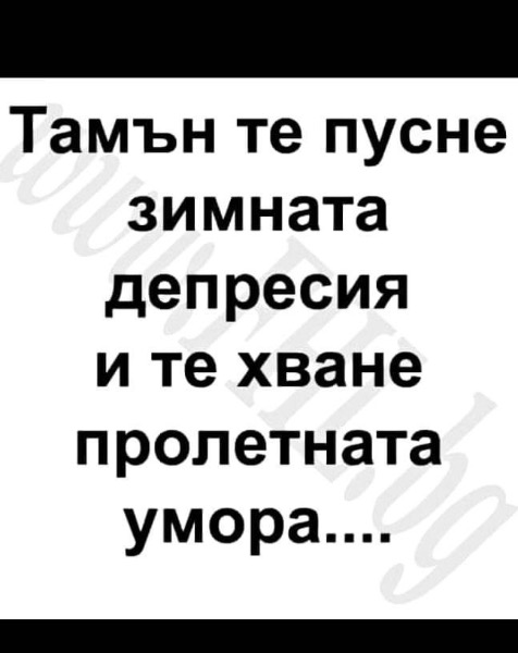 4C1343B6-F448-4CA4-8B96-198769051777.jpeg.d04e97490627252b6c5c562f518aea71.jpeg