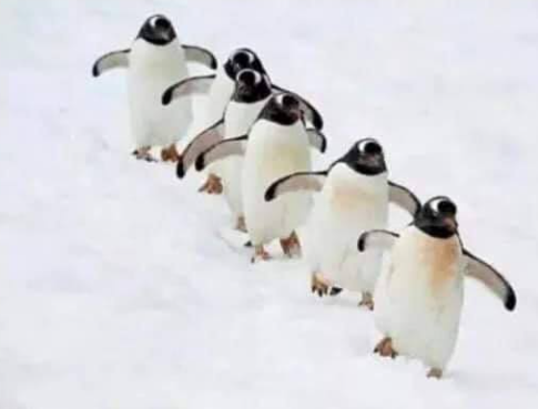 image.png.34a7b489625846423d54927a3c7d1d53.png