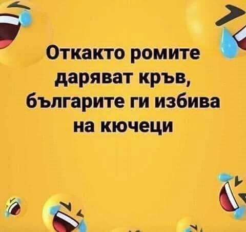 8A6AE95C-0DCE-41DC-BBAF-2622D781D060.jpeg.56aba9b9563626c04cc0b424252ebdd7.jpeg