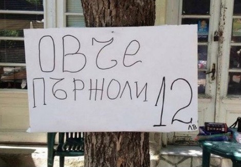 EF72DE78-0685-4445-8508-8BD07ADCC01F.jpeg.c759e92163827daa8eabb06b4d794380.jpeg