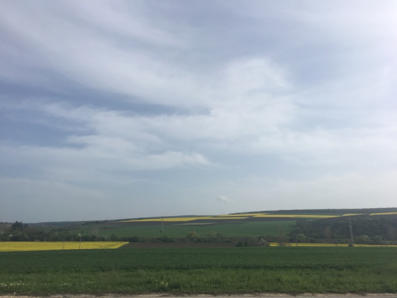 F228E843-23F1-4720-8AAD-F2873EAA9399.jpeg.d9b68059de0a1c4a6d27edd23fe343c0.jpeg