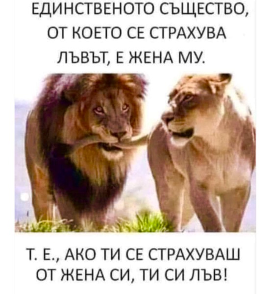 FD169DD1-8BA4-46A8-8989-9A4EDE06F0AD.jpeg.3f541c22a2bcbdae6d71df4db5fb4529.jpeg