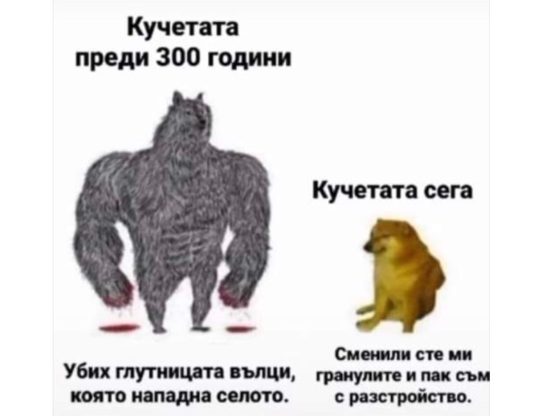 18448A13-7DEE-4A6A-9C5E-D2BEB8A7BD25.jpeg.1a6dd80b2d77b07ba27b49271112345d.jpeg