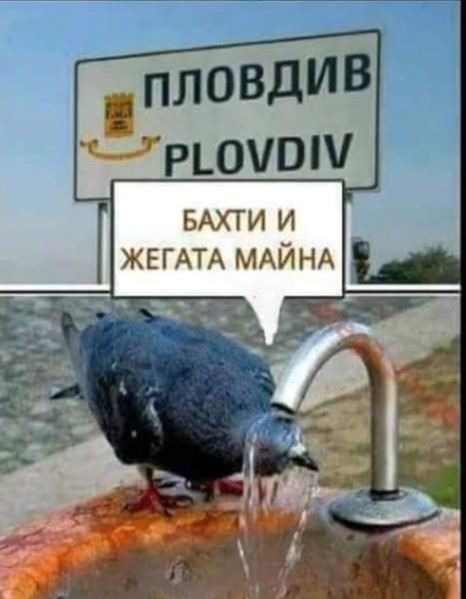 9CEA6251-BA90-449F-BA0A-CBA21E79C64C.jpeg.4be3d1679904f198e6cdfb194cd6fb6c.jpeg