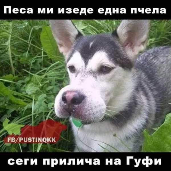 A82C0EE2-5B61-4FBC-8609-E2F09754FCDB.jpeg.6d7e7c96a0646d20375debea327bb169.jpeg