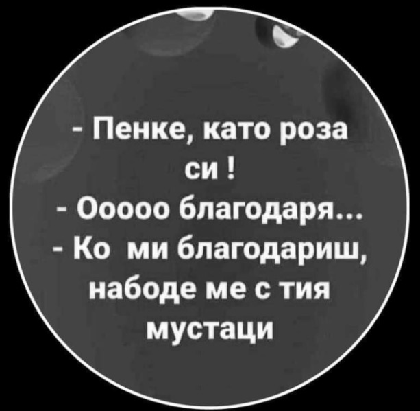 DE48C909-135B-41A8-A1CA-ED0143D4423F.jpeg.e77b47a08f86f6de1bfa1752ffb6104a.jpeg