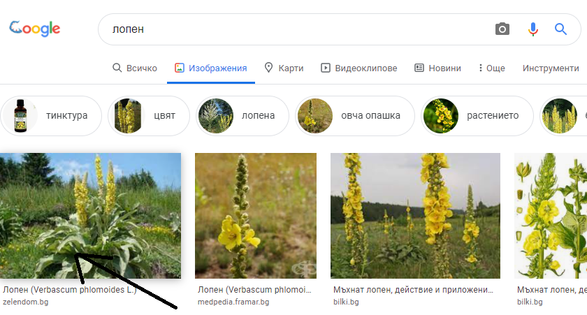 lopen.png.c1ea5a53a6078b518c41143d749b83bd.png