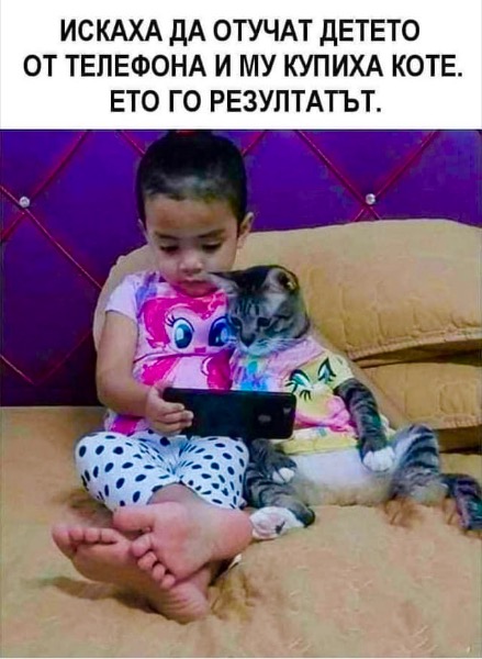 45351328-33C6-4AA8-925C-6EAA99E89BB3.jpeg.55bc6ba3c3fb0ec0470df0a41ea79a7a.jpeg