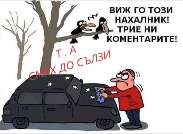 75002D9D-46AF-4EA4-BB1E-6B1222A0FDD1.jpeg.46894eaf248d4120e933ba43ffb9790e.jpeg
