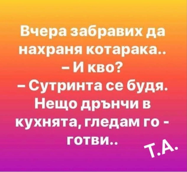 C9293F8C-9504-4854-877A-BE8826C6AEB8.jpeg.31cdc6d13f642105711c160f20120eea.jpeg