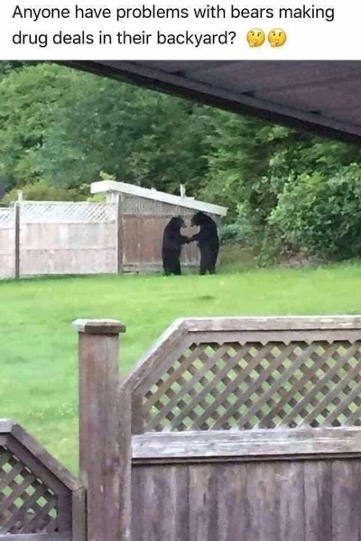 D741037F-FDA3-467C-B2C8-DCC4DB467F3A.jpeg.a5a25e8ae4cd5aea2703e5ea6266f0a2.jpeg