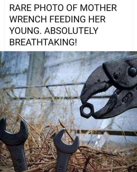 wrench.jpg.f5ed2f63fc7ea83fe35e7355298a5c0f.jpg