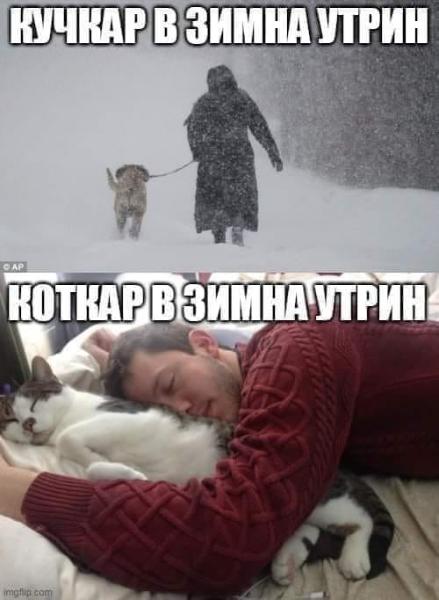 263338136_10219268543524477_5416354235645852636_n.jpg.098556b4257926fdf7bb86815bbe3f26.jpg
