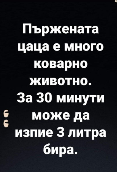 image.png.65e6378678fa2556f6d70d24ebac00d7.png