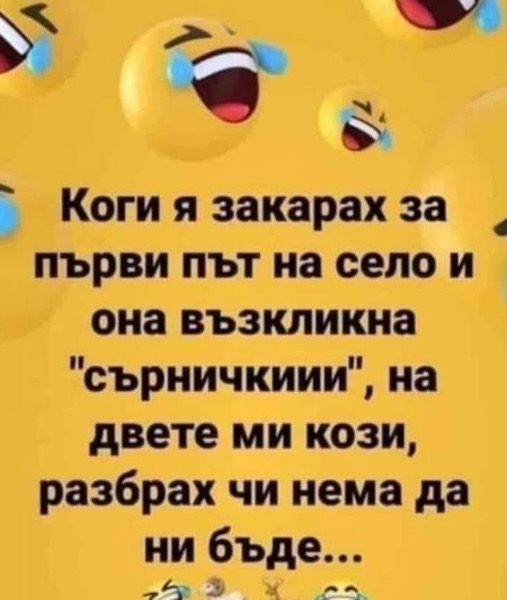 A07F7FDA-E53E-41D1-9B97-6F16ED242557.jpeg.d7c4e88f8880bbcc3e69471f075e75c4.jpeg