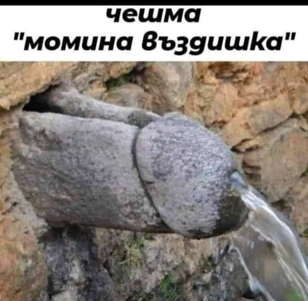 5F738F08-0C9B-4335-B370-44D39FF60AC4.jpeg.6b94e3ab381019fcdf82aa182f6245b7.jpeg