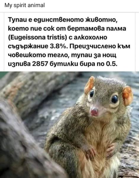 Screenshot_20220711-175333_Facebook.jpg.b70b9ae07e8fe7dc5254ac84e065ec3d.jpg